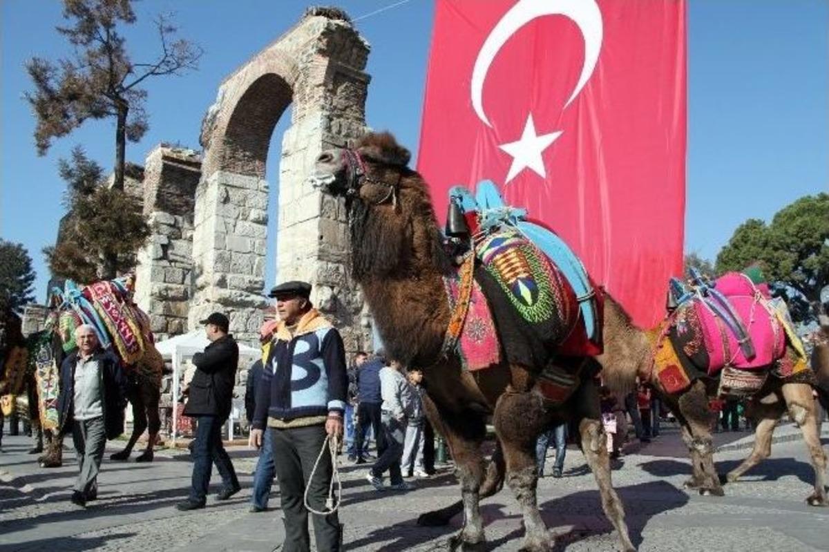 Sel&ccedil;uk&rsquo;ta Deve G&uuml;reşleri Festivali Coşkusu Başladı