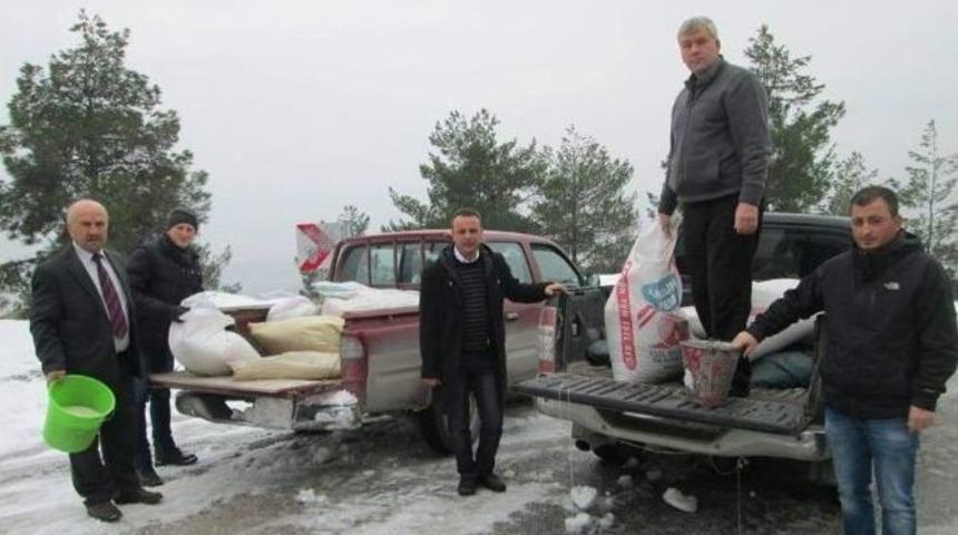 Kargı&rsquo;da Kuşlar İ&ccedil;in Doğaya Yem Bırakıldı