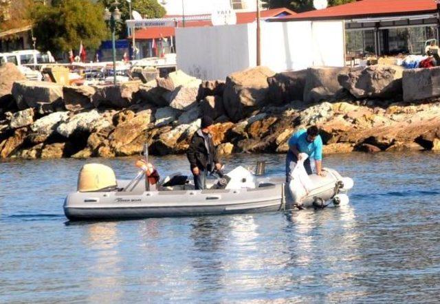 Deniz Dibi Temizliğinde Ahtapot Sürprizi