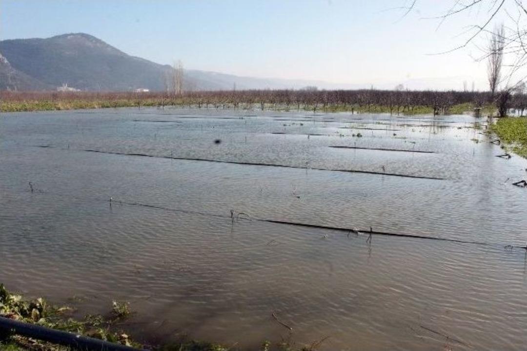 (&ouml;zel Haber) Bursa Ovası G&ouml;le D&ouml;nd&uuml;