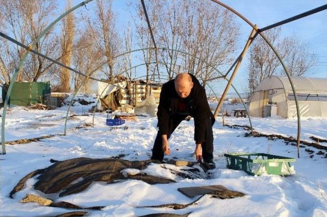 (&ouml;zel Haber) Erzurumlu Seracı Toprağı Derin Dondurucu Olarak Kullanıyor