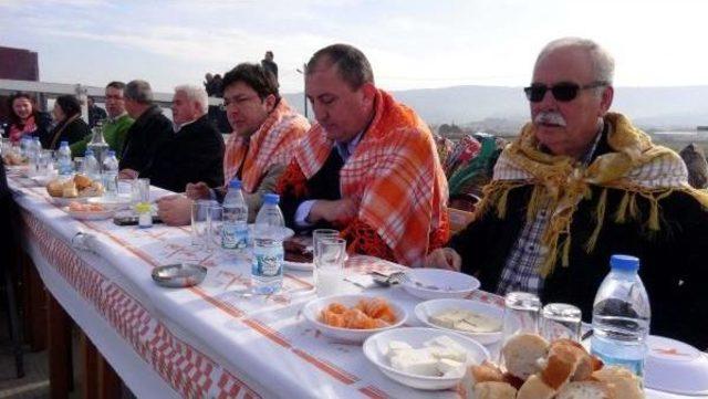 Çanakkale de Develer Kıran Kırana Güreşti 2