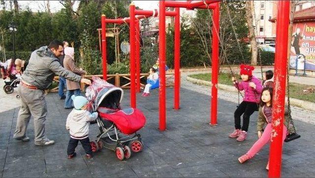 Amasra Yaz&rsquo;ı Yaşıyor 1