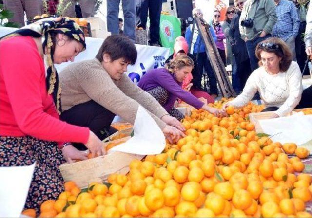 Bodrum da Mandalina Şenliği Coşkusu - Ek 2