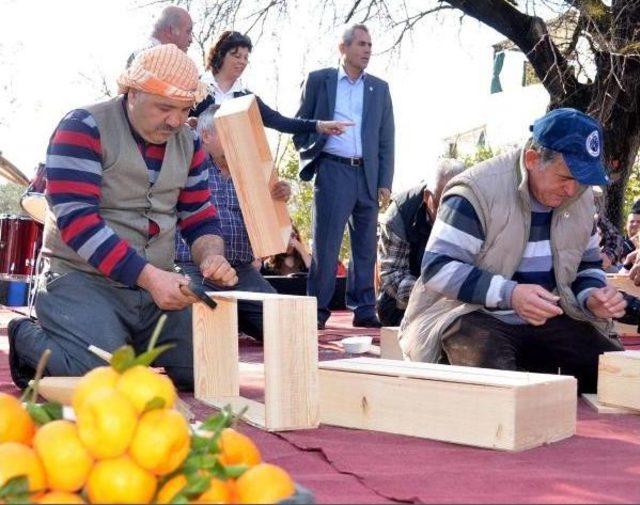 Bodrum da Mandalina Şenliği Coşkusu - Ek 3