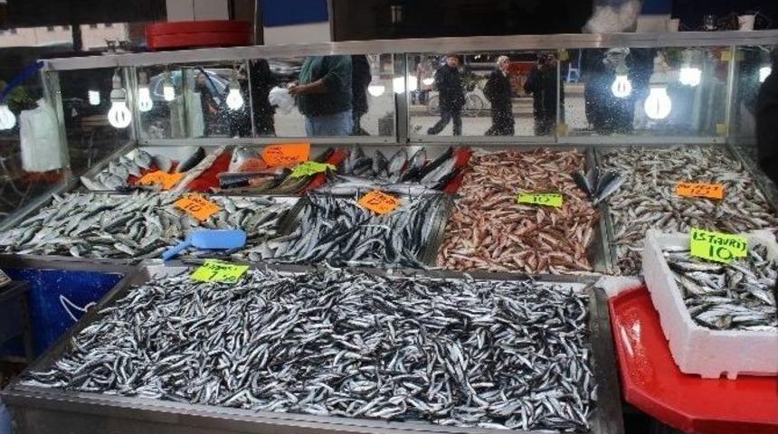 Bakanlıktan Balık Varlığını Artıracak Yatırım