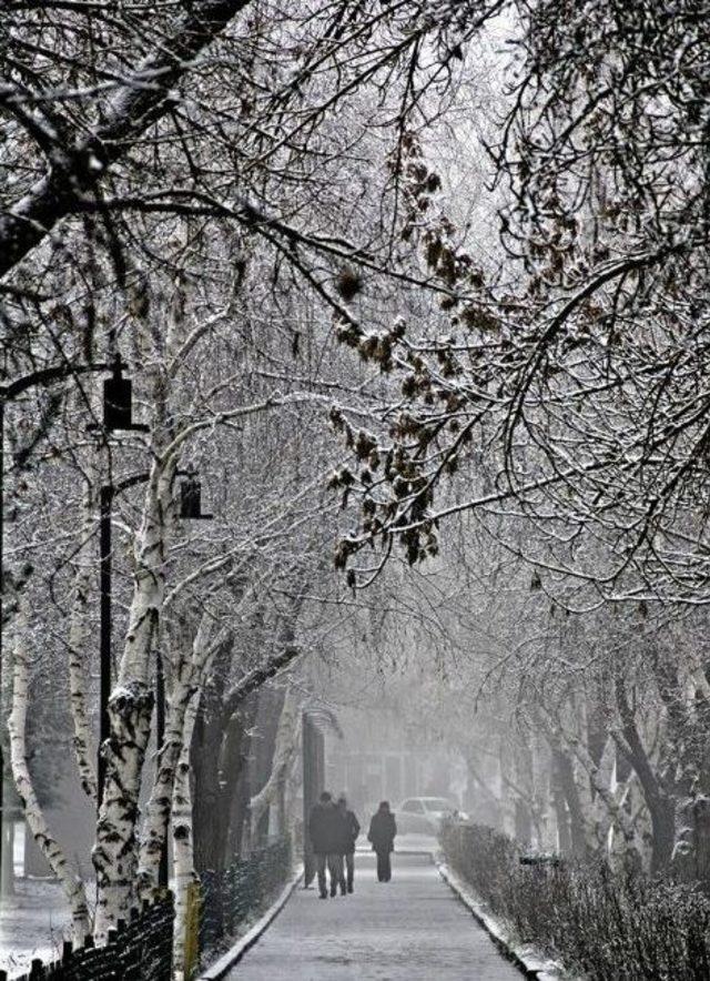 Erzurum’da Düşen Kırağı