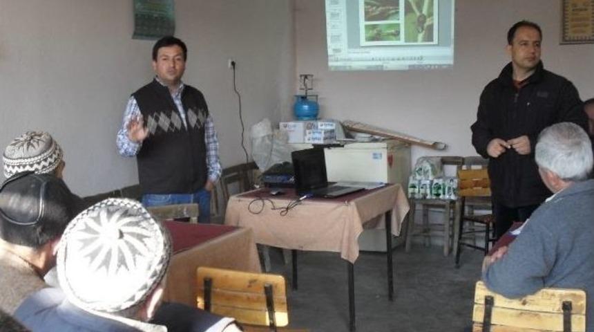 Somalı Zeytin &Uuml;reticileri Uyarıldı