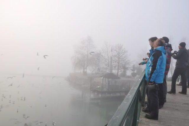 Beyşehir Gölü Kıyıları Buz Tuttu