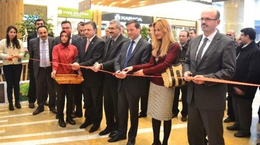 "tarım Ve İnsan" Sergisi Yoğun İlgi G&ouml;rd&uuml;