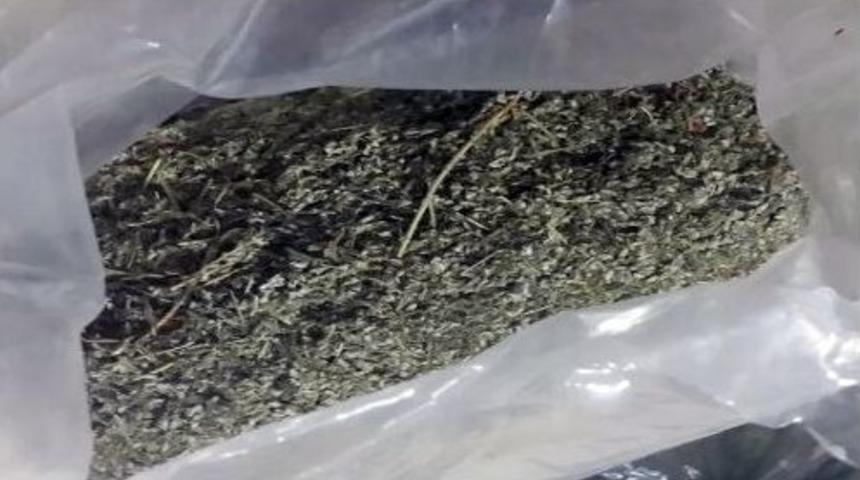 İzmir Polisi Uyuşturucu Tacirlerine G&ouml;z A&ccedil;tırmadı