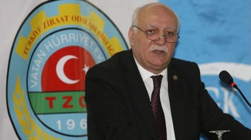 Tzob: &ldquo;fındık Fiyatı Doğu Karadenizli &Uuml;reticiye Yaramadı&rdquo;