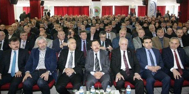 Tzob: &ldquo;fındık Fiyatı Doğu Karadenizli &Uuml;reticiye Yaramadı&rdquo; 1