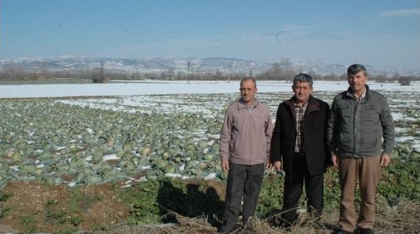 Kar Kışlık &Uuml;r&uuml;nlere Yaradı