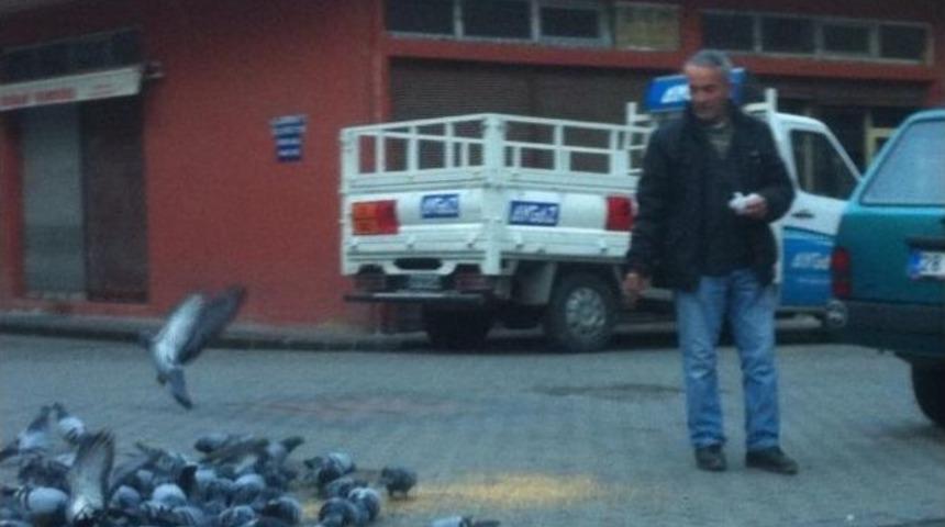 A&ccedil; Kalan G&uuml;vercinleri Esnaf Besliyor