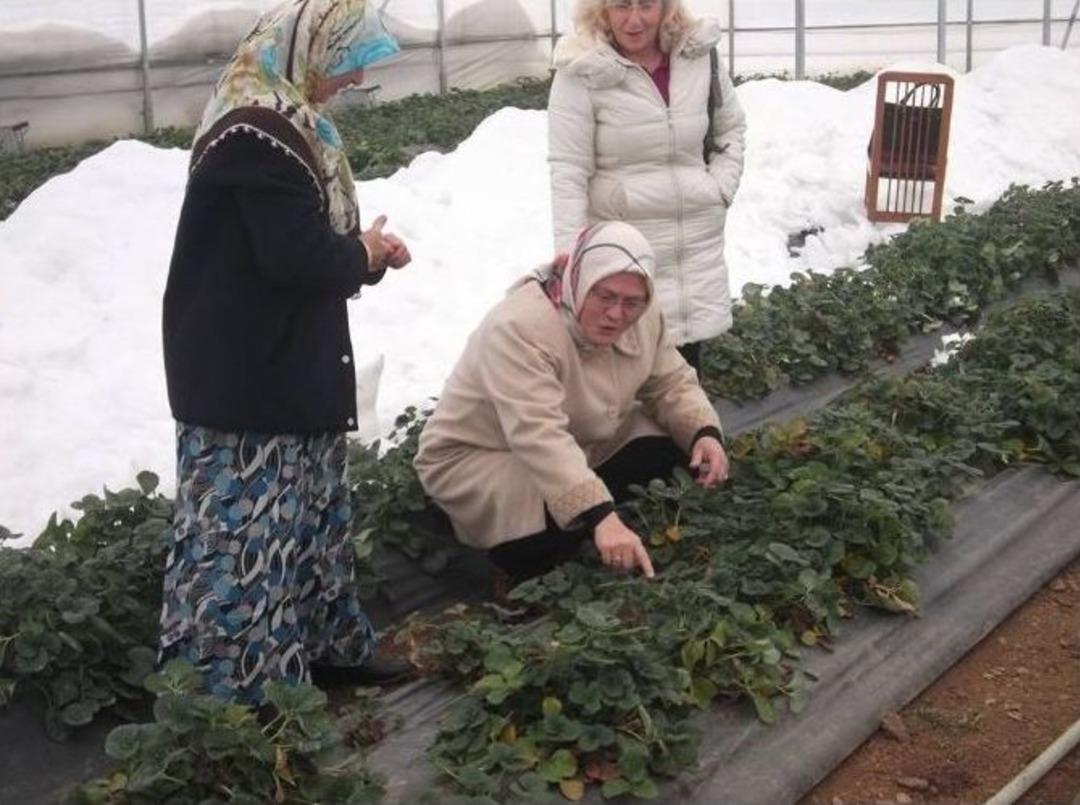 Kadın &Ccedil;ift&ccedil;ilere Destek Projesi