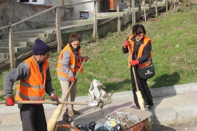 Sinop Sokaklarını Kadınlar Temizliyor