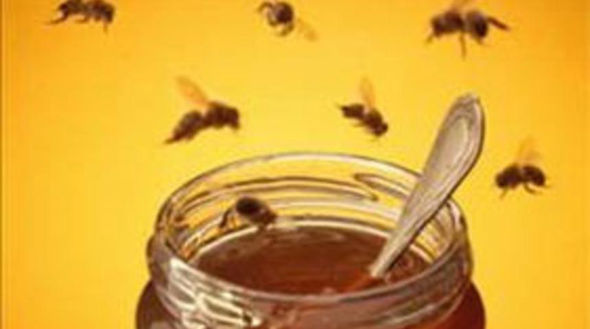 Arılar neden bal yapar?