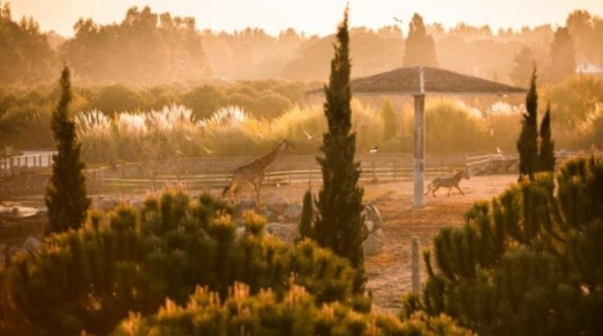 Burası Afrika değil T&uuml;rkiye