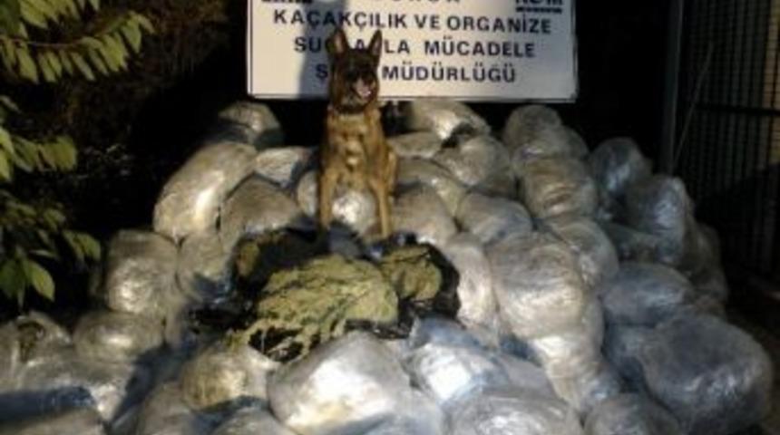 (özel Haber) Bursa’da Narkotik Polisi’nden 2014 Yılında Büyük Bingo