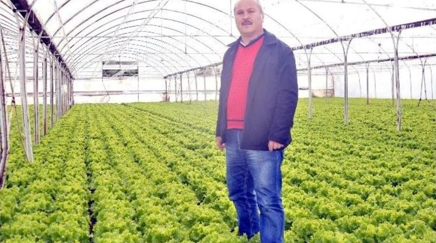 Verimli Araziye Kalıp&ccedil;ılar Vadisi Kurulmasına Tepki
