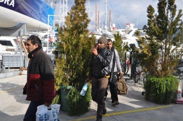 Bodrum’da 12 Kaçak Göçmen Yakalandı