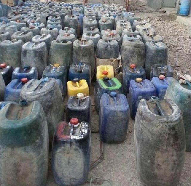 Mahkemenin  itlaf  Kararı Verdiği 97 Katır, İran a Ka&ccedil;mış 2