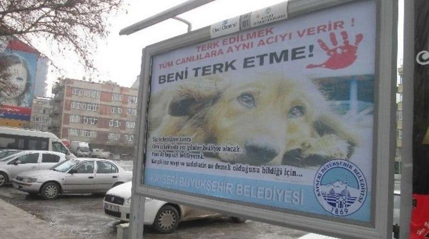 B&uuml;y&uuml;kşehir Belediyesi Reklam G&ouml;rselleri İle Sokak Hayvanlarının Sahiplendirilmesini Ve Beslenmesini Ama&ccedil;lıyor