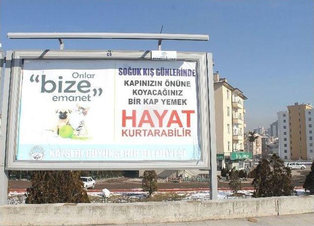 Büyükşehir Belediyesi Reklam Görselleri İle Sokak Hayvanlarının Sahiplendirilmesini Ve Beslenmesini Amaçlıyor