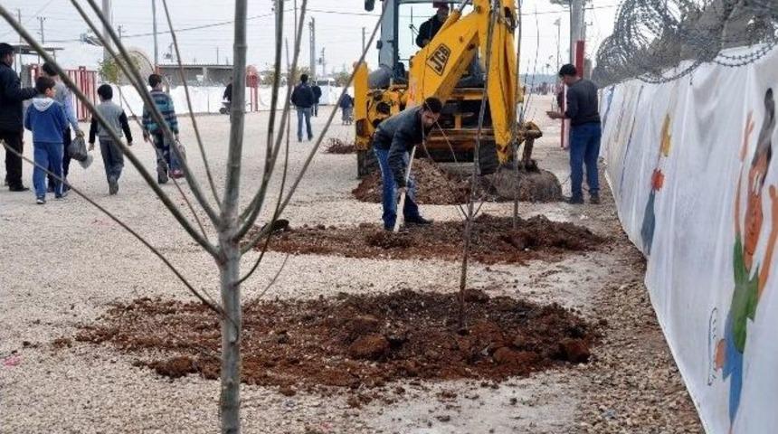 &Ccedil;adır Kent Yeşillendiriliyor