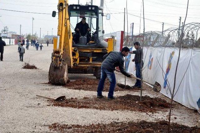 Çadır Kent Yeşillendiriliyor