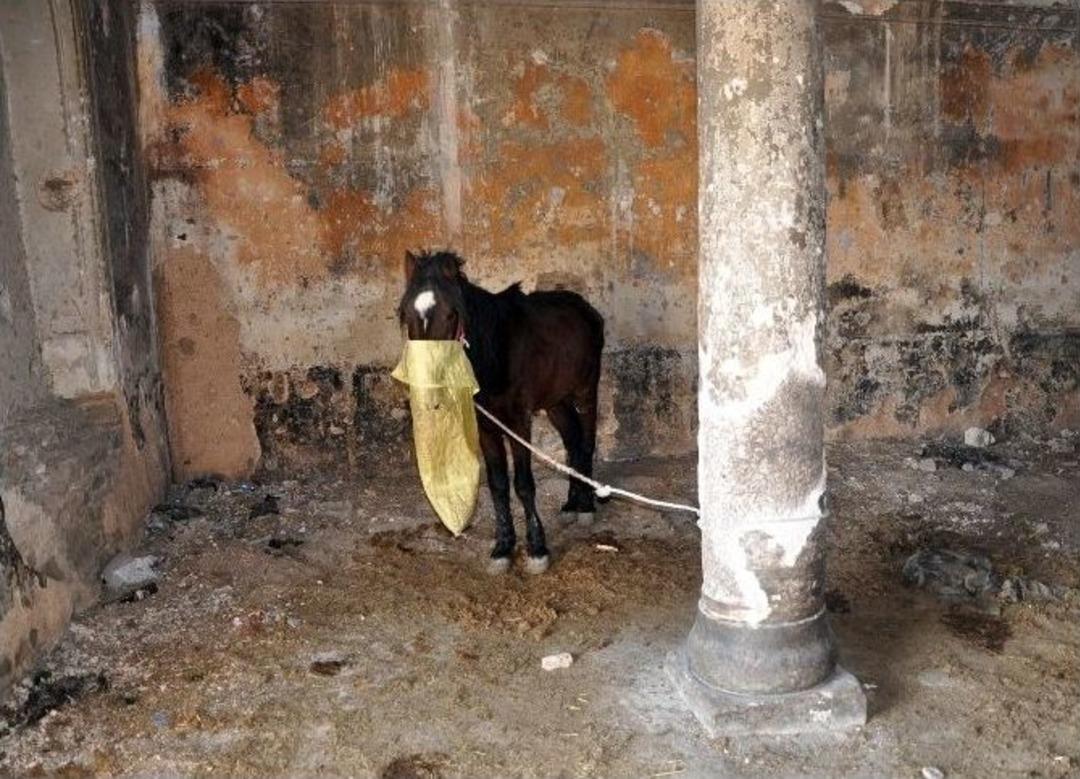 (&ouml;zel Haber) Tarihi Ermeni Kilisesi Ahır Oldu