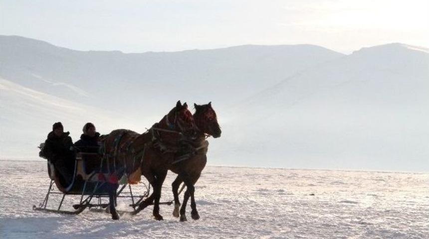 Atlı Kızak&ccedil;ılar Ekmeğini Buzdan Kazanıyor