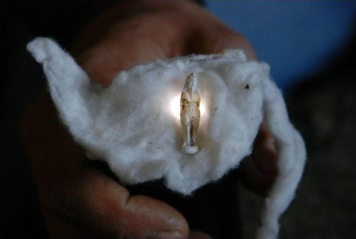 (&ouml;zel Haber) Bir Garip Hazineci &Ouml;yk&uuml;s&uuml;: R&uuml;yasında Ses Duydu, Heykel Buldu