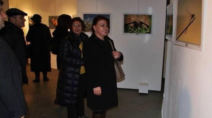 Eskişehir&rsquo;in Doğa G&uuml;zellikleri Fotoğraf Sergisi