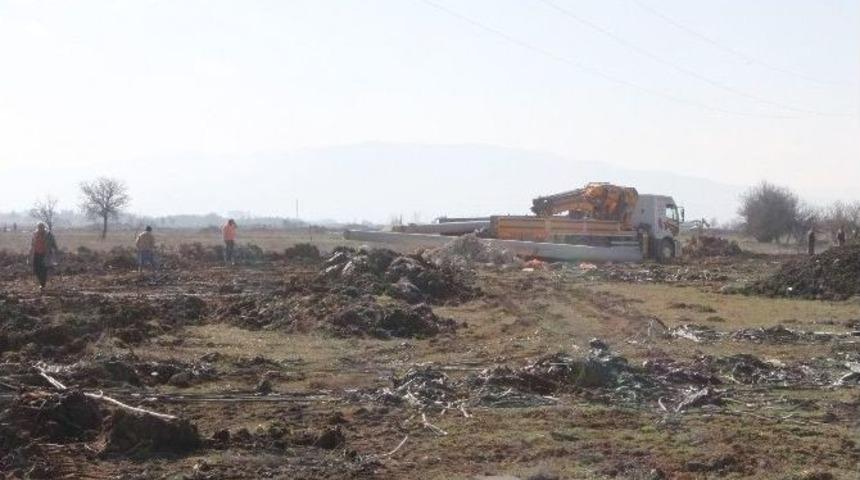 Acıpayam G&uuml;neş Tarlası Haline Gelecek