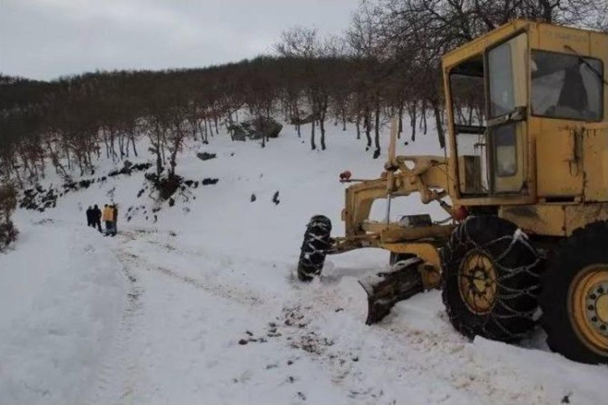 Yılkı Atlarına Kış Mevsiminde Yem Ulaştırıldı