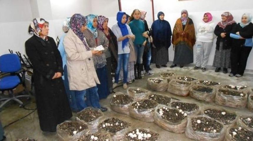 Kaymakam Canatan&rsquo;dan Bolvadin Halk Eğitim Merkezi M&uuml;d&uuml;rl&uuml;ğ&uuml;ne Ziyaret