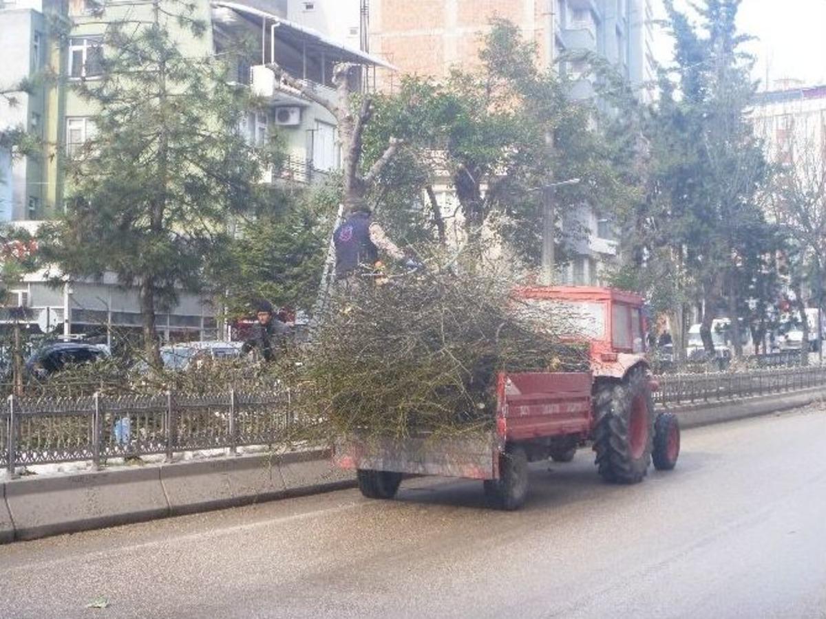 Bilecik&rsquo;te Kar Temizleme &Ccedil;alışmaları