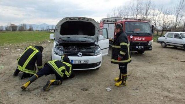 Aracın Motor B&ouml;l&uuml;m&uuml;ne Sıkışan Yavru K&ouml;peği Itfaiye Kurtardı 1