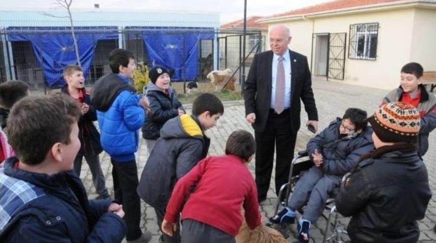 S&uuml;leymanpaşa Belediye Başkanı Eşkinat, İlkokul &Ouml;ğrencileri İle Birlikte Ge&ccedil;ici Hayvan Bakımevini Ziyaret Etti