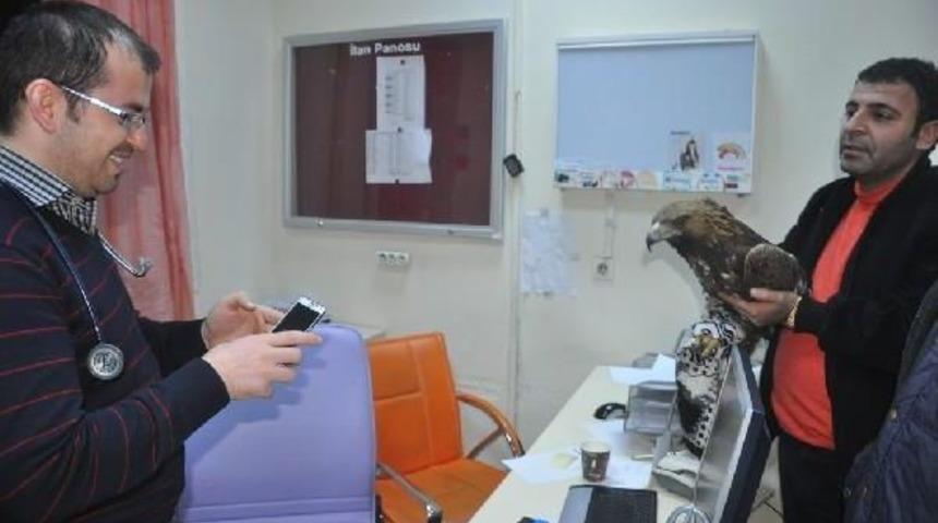 Y&uuml;ksekova&rsquo;Da U&ccedil;mayan Kaya Kartalına Gazeteci Sahip &Ccedil;ıktı