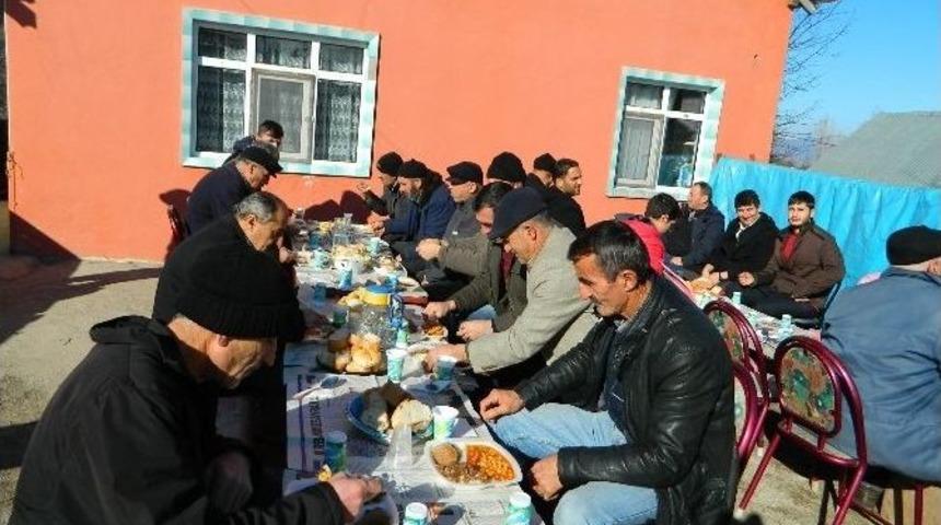 Posof&rsquo;ta Yazdan Kalma G&uuml;nler Şaşırtıyor