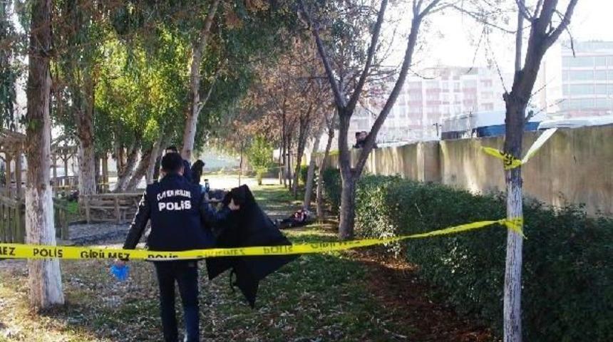 Viranşehir'de Cinayet