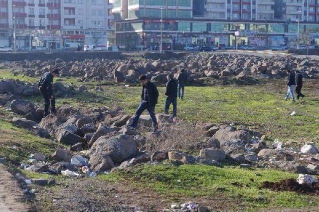 Viranşehir'de Cinayet