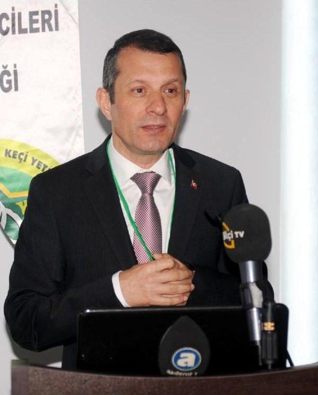 Mak&uuml; Rekt&ouml;r&uuml; Saat&ccedil;ı: Koyun Ve Ke&ccedil;i Memleket Meselesi 1