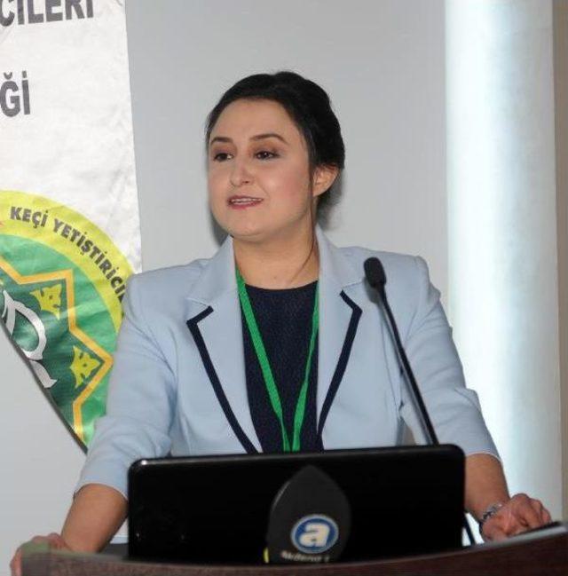 Mak&uuml; Rekt&ouml;r&uuml; Saat&ccedil;ı: Koyun Ve Ke&ccedil;i Memleket Meselesi 2