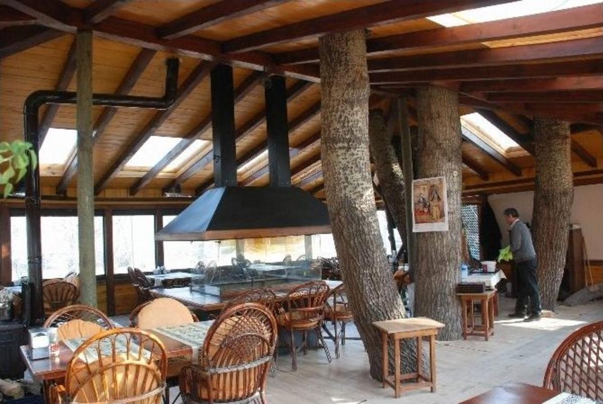 Ağa&ccedil;ları Kesmemek İ&ccedil;in Lokantanın Mimarisini Değiştirdi