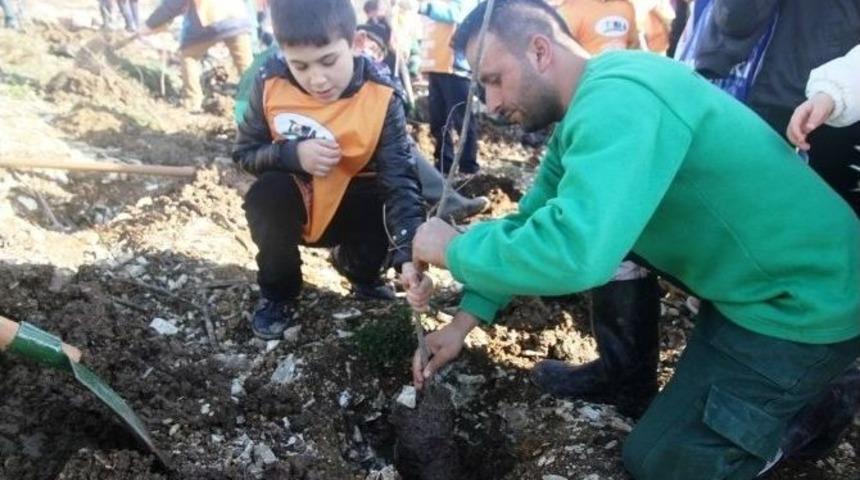 B&uuml;y&uuml;kşehir İle Tema&rsquo;dan Kandıra&rsquo;ya 200 Fidan