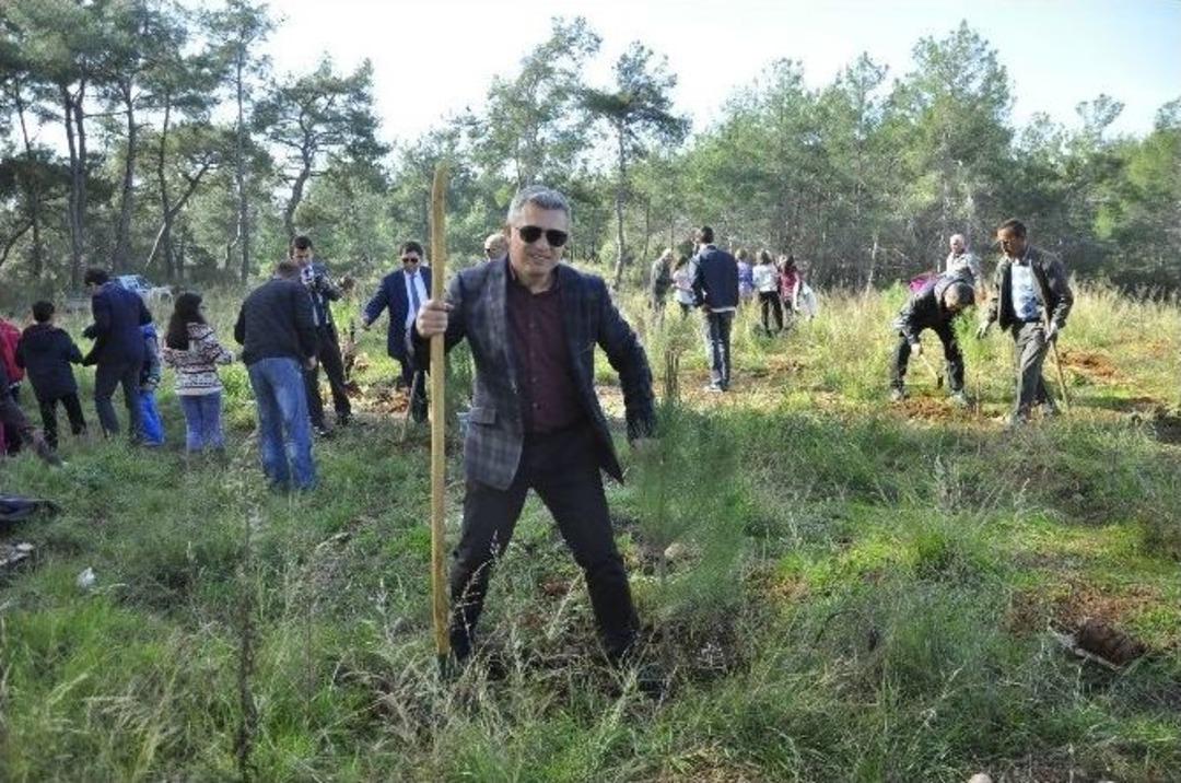 Masiad&rsquo;dan Hatıra Ormanı